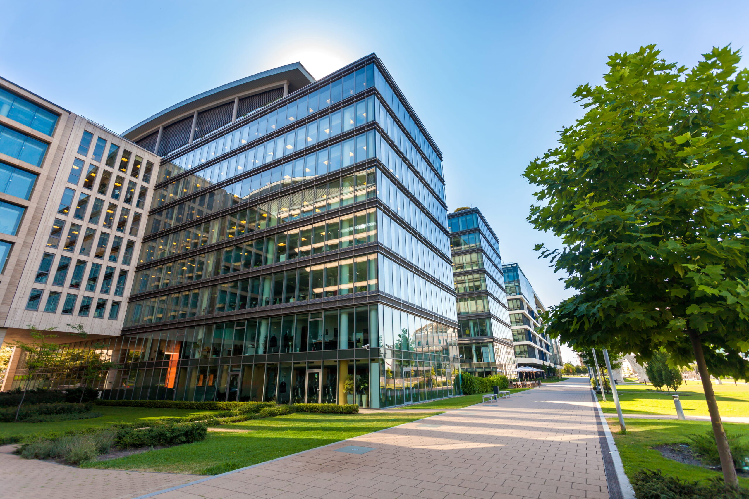 Modern glass office building with reflective windows under blue sky. Sunlight creates a bright, airy atmosphere. Green trees line the paved walkway.